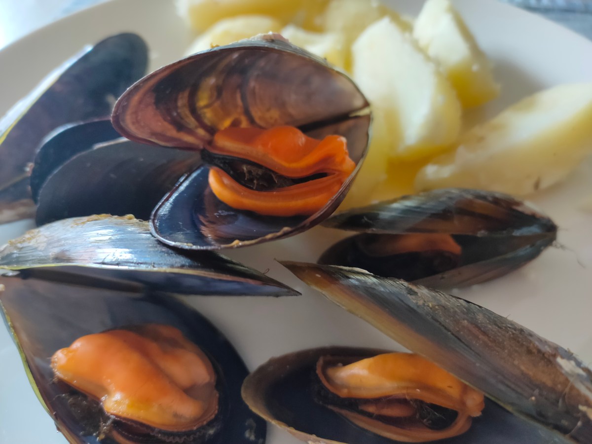 Mexillóns ao seu&nbsp;Vapor
