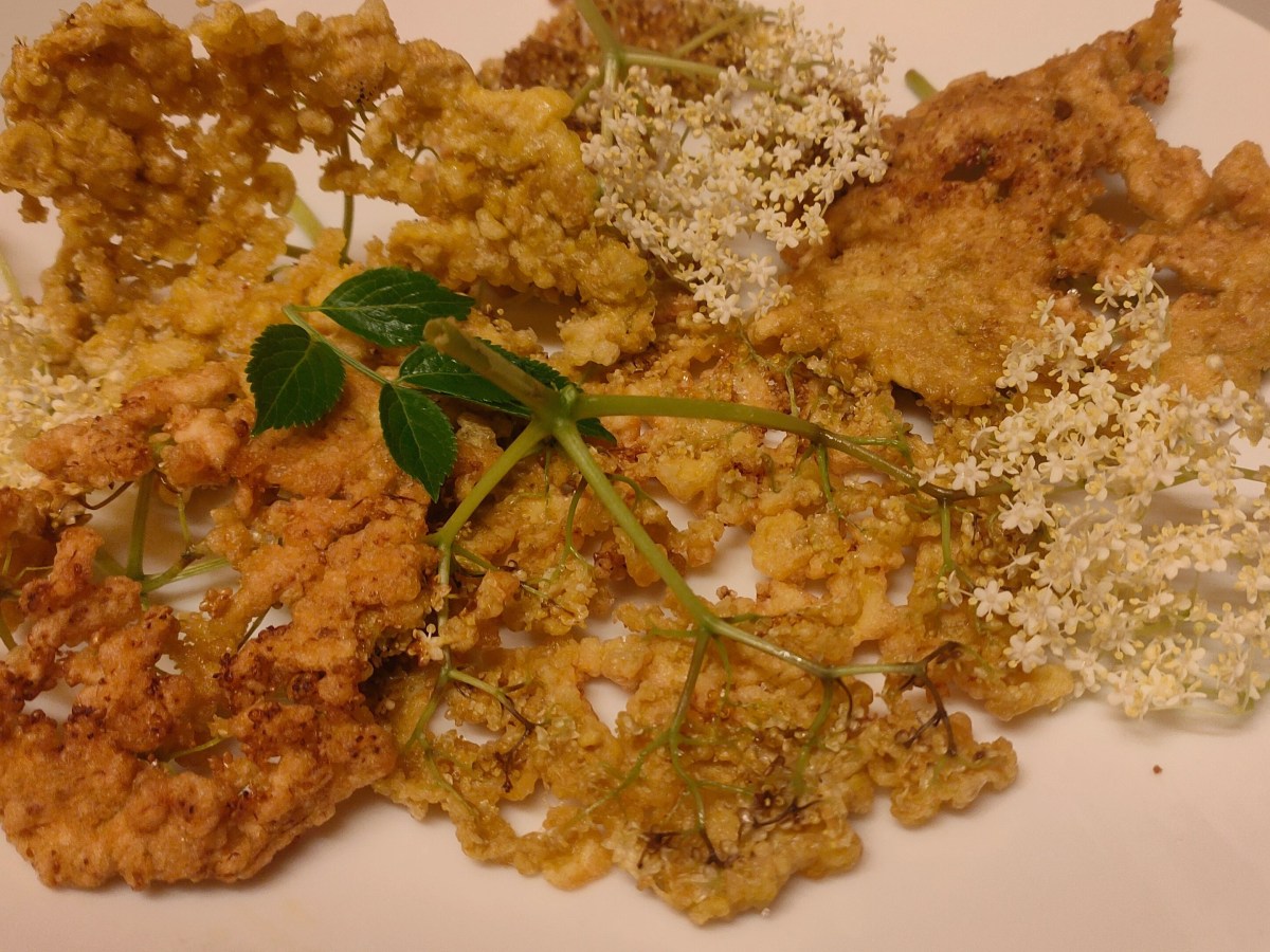 Flores de Sabugueiro