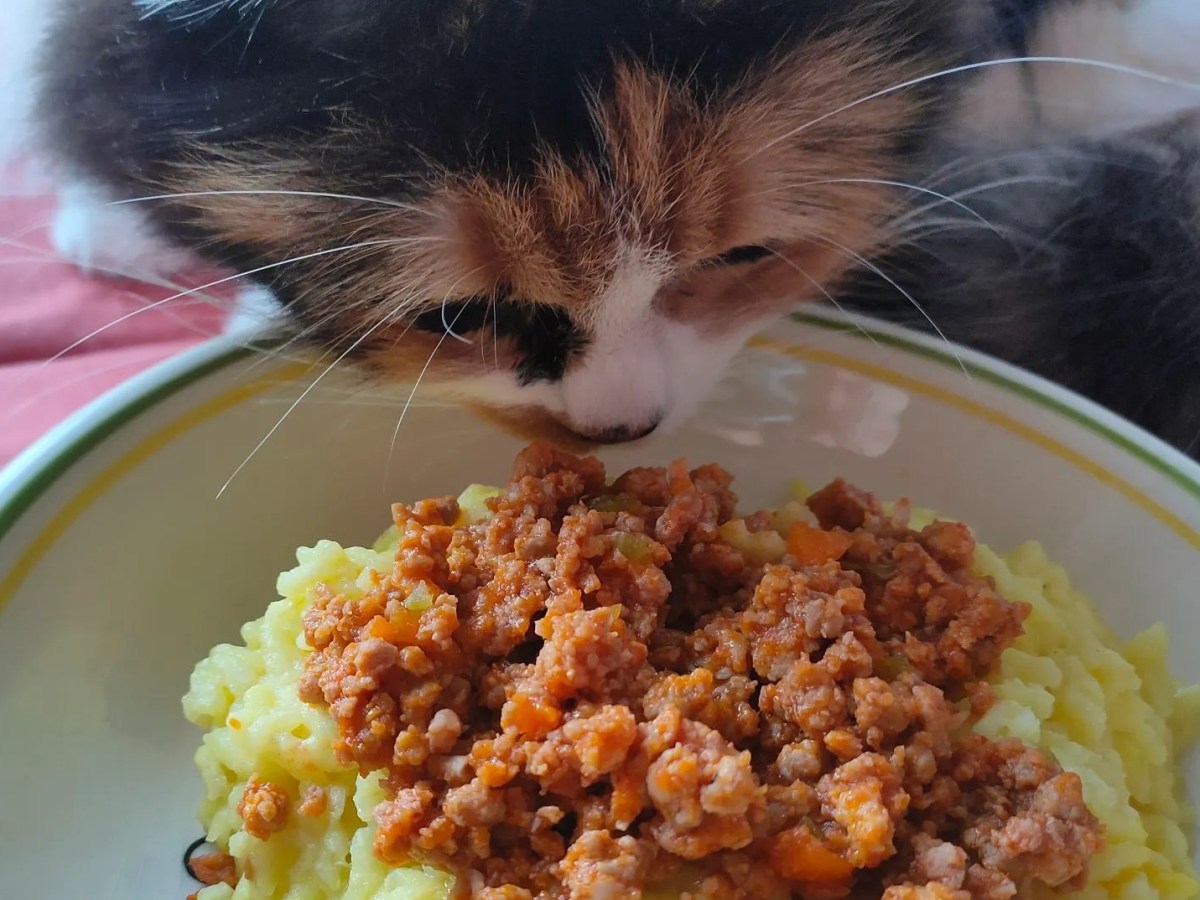 O Ragù do&nbsp;Lorenzo